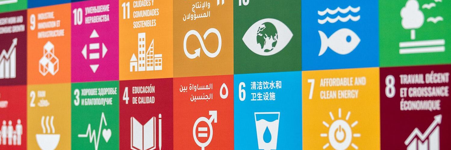 Sustainable development goals